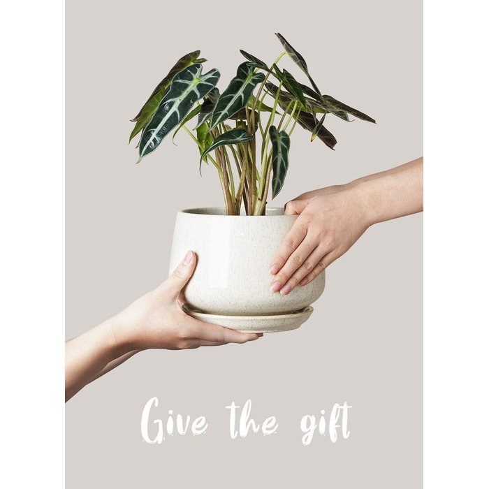 Керамічні горщики LE TAUCI з підставкою, 10+13+16 см, набір 3 шт. для кімнатних рослин, з дренажним отвором, бежева реактивна глазур