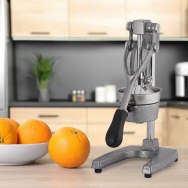 Преміальний ручний прес для соку Relaxdays з важелем
