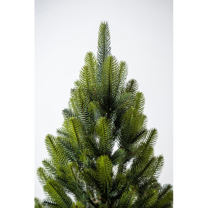 Ялинка лита 'Лапландська' в горщику ВЕСНЯНА 0,90м