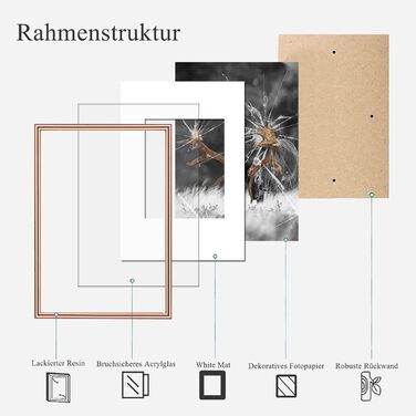 Набір фоторамок 5er Bilderrahmen DIN A4 з плексигласом для фото та портретів: рамка для встановлення та підвішування