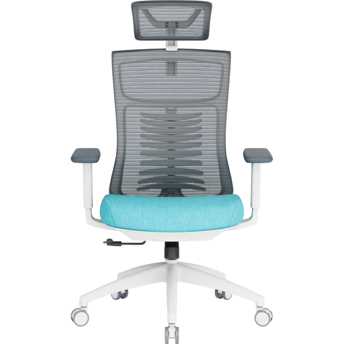 Крісло офісне OfficePro Balance OC550-W-DG-BL