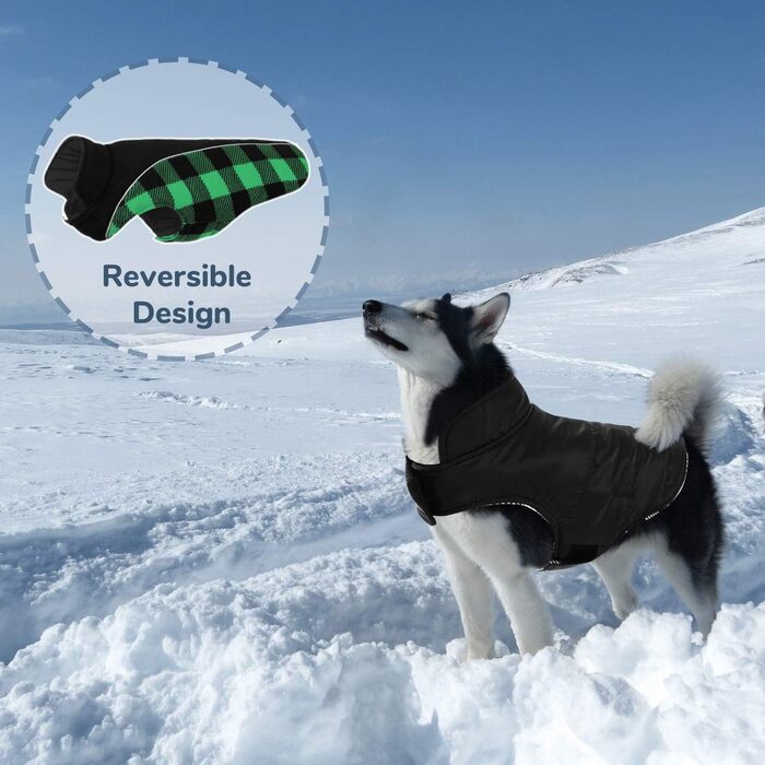 Зимова водонепроникна вітрозахисна куртка для собак CITTOILE для маленьких середніх і великих собак, бавовняна куртка для собак з отвором для ременя безпеки, Світловідбиваюча тепла регульована, зелена, L L Зелена