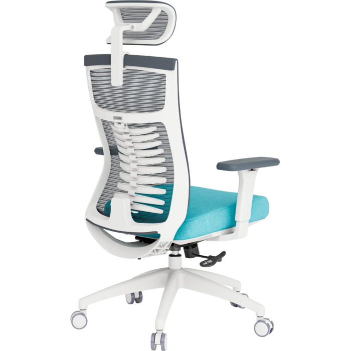 Крісло офісне OfficePro Balance OC550-W-DG-BL