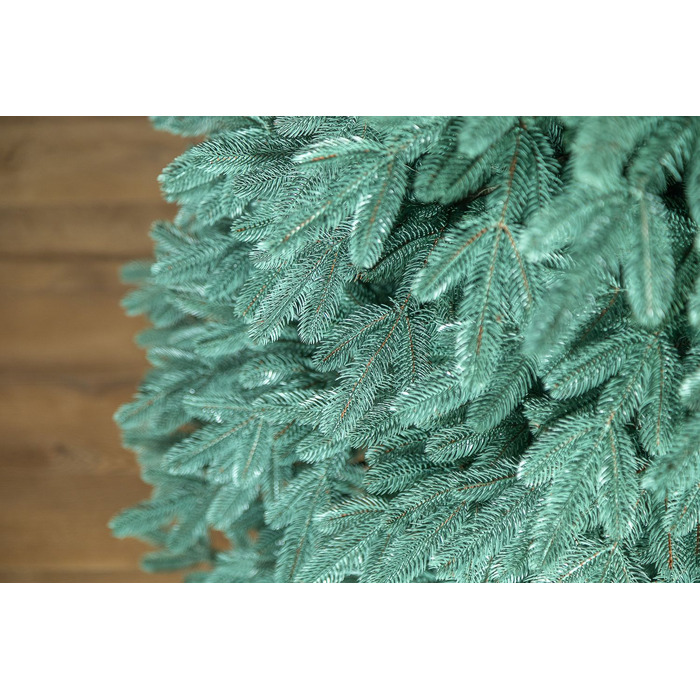 Ялинка лита 'Лапландська' ПАРАСОЛЬКА БЛАКИТНА 2,30м