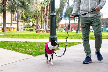 Куртка для собак Gooby Puffer Vest - бірюзова, водовідштовхувальна, з подвійним D-подібним кільцем, для маленьких/середніх собак