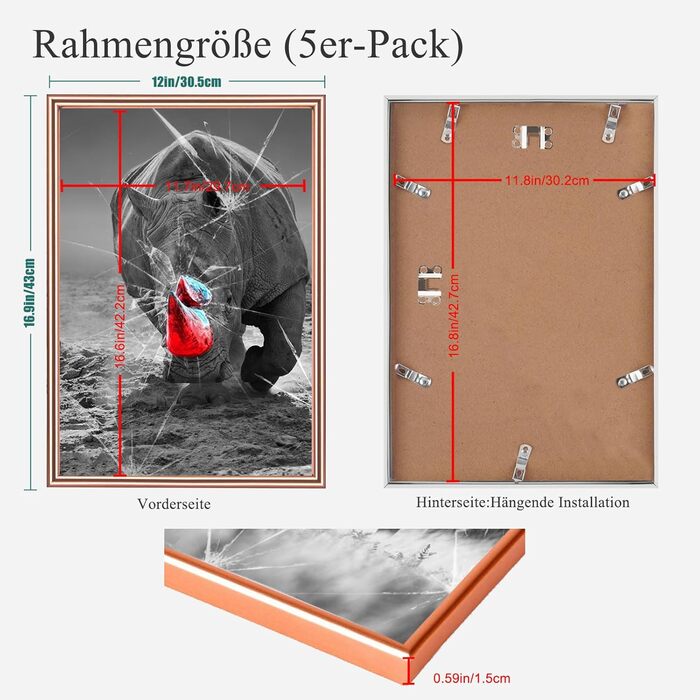 Набір фоторамок 5er Bilderrahmen DIN A4 з плексигласом для фото та портретів: рамка для встановлення та підвішування