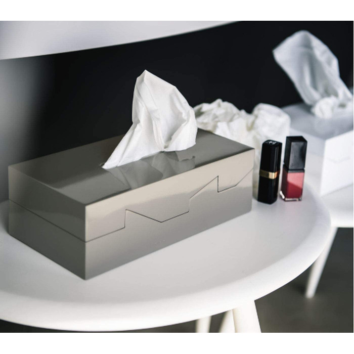 Коробка для косметичних серветок Spirella - коробка для косметичних серветок-Коробка для косметичних серветок в якості дозатора або тримача-Коробка для дозатора серветок ABS 24,8 x 12,8 x 8 см (білий)