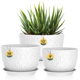 колір: білий з чорними крапками