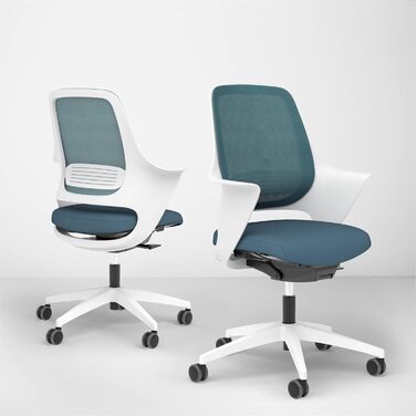 Ергономічне крісло Ergotopia WellBack, Made in Germany, з підтримкою попереку та синхромеханікою для офісу та дому. Рама: білий, оббивка: сірий (Рама: білий - оббивка: блакитний)