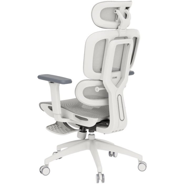 Крісло офісне OfficePro Skyline OC750-W-LG-LG