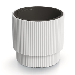 колір: білий