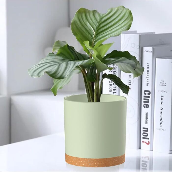 Набір горщиків для квітів 5 шт. з підставками, 17.8/15.2/14/12.7/10.2 см, пластикові, для гідропоніки, внутрішнього та балконного озеленення, зелені з коричневим піддоном