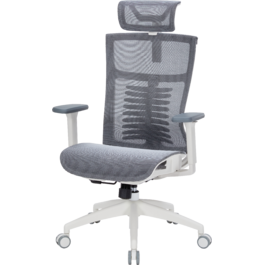 Крісло офісне OfficePro Balance OC620-W-DG-DG