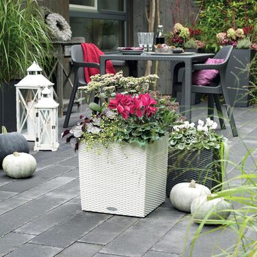 Пляцок Lechuza 'Cube Cottage 30' з системою поливу ґрунтом, граніт, 30 x 30 x 30 см