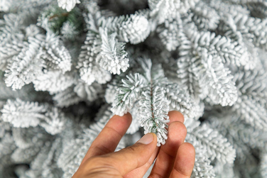 Ялинка лита 'Альпійська' ЗАСНІЖЕНА 2,30м