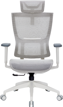 Крісло офісне OfficePro Elegant OC660-W-LG-LG