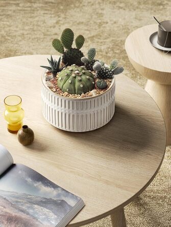 Набір горщиків для сукулентів LE TAUCI, 16,5+20 см, кераміка, з дренажними отворами, сучасний циліндричний дизайн, набір 2 шт., реактивна глазур білого кольору