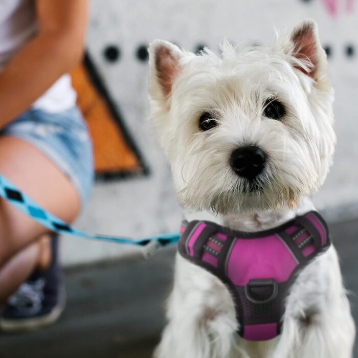 Шлейка для собак FurDreams - Безпечна нагрудна шлейка зі світловідбивачами (маленька, рожева)