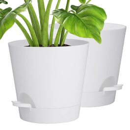 розмір: 20,3 см