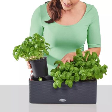 Горщик LECHUZA CUBE Color Triple (Сірий Шлахтер) 13680 (40x14x13,5 см)