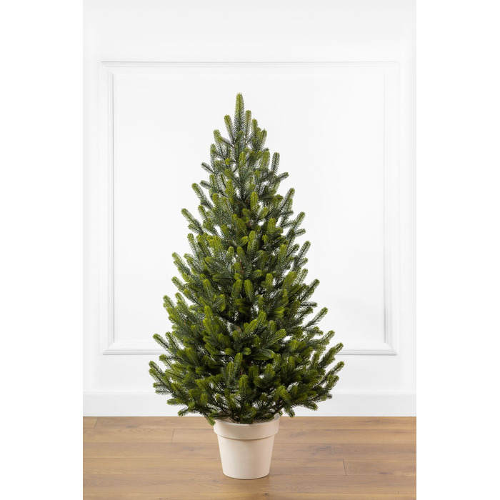 Ялинка лита 'Віденська' в горщику ВЕСНЯНА 1,10м