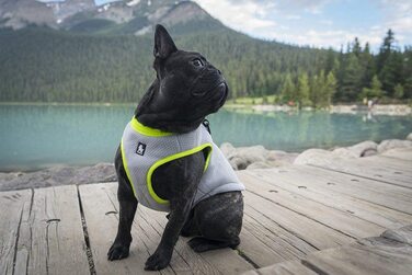 Охолоджуючий жилет для собак MOKCCI Truelove, охолоджуюча куртка з регульованою застібкою-блискавкою для тренувань на відкритому повітрі, полювання і кемпінгу, XXS (1 упаковка) Помаранчевий
