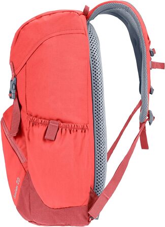 Довга смородина-секвоя, 20 Daypack 20