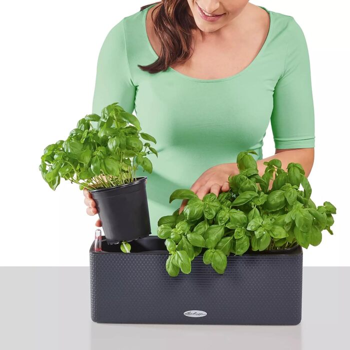 Горщик LECHUZA CUBE Color Triple (Сірий Шлахтер) 13680 (40x14x13,5 см)