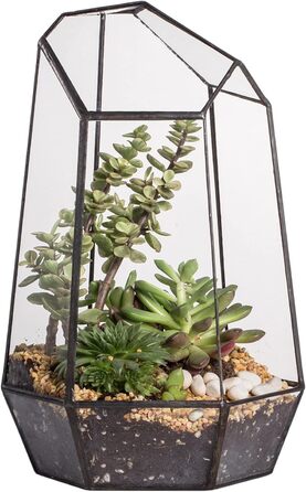 Скляне тераріум NCYP 16,5x16,5x25cm: геометричний дизайн, горщик для сукулентів та папоротей (без рослин)