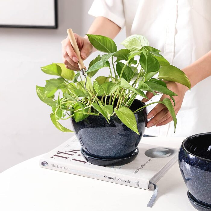 Керамічні горщики для квітів Vicrays - 16,5 см, з дренажем та підставкою, для сукулентів, орхідей, квітів, трав, кактусів, для дому та саду, блакитний