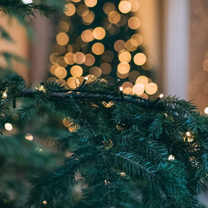 LED-гірлянда HoldOneLight 1000 LED, 20м, тепле біле світло, для декору інтер'єру, екстер'єру, саду, ялинки