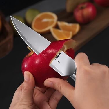 SHAN ZU Profi кухонний ніж 18 см - японський кухонний ніж з високоякісної сталі 10Cr15Mov, 12° заточка, ергономічна ручка з паккавуду - для м'яса, овочів, риби (овочечистка)