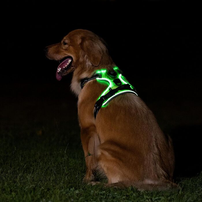 Світлодіодна шлейка для собак - Світлодіодна шлейка для собак USB акумуляторна