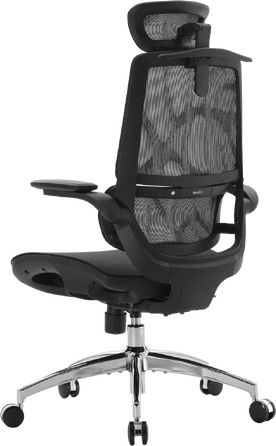 Крісло офісне Sihoo M59AS Mesh Black