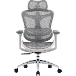Крісло офісне Sihoo DORO C300L Mesh White