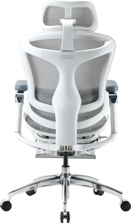 Крісло офісне з підставкою для ніг Sihoo DORO C300 Pro Mesh White with footrest