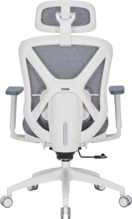 Крісло офісне Officepro Atlas OC630-W-DG-DG
