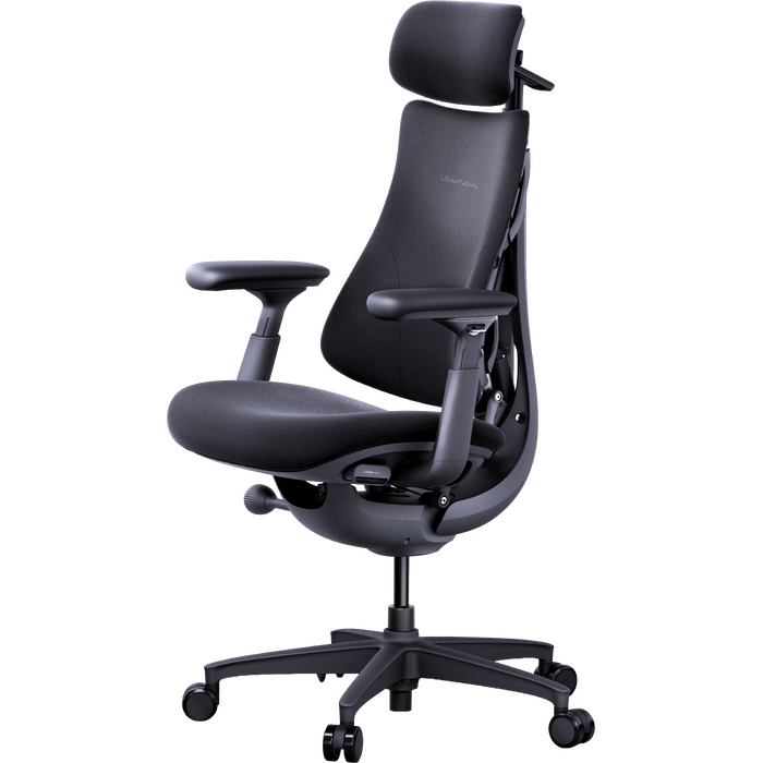 Крісло офісне ергономічне LiberNovo Omni Midnight Black 48 см