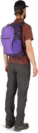 Рюкзак Osprey Daylite Plus універсальний, 20 л, Dream Purple, один розмір