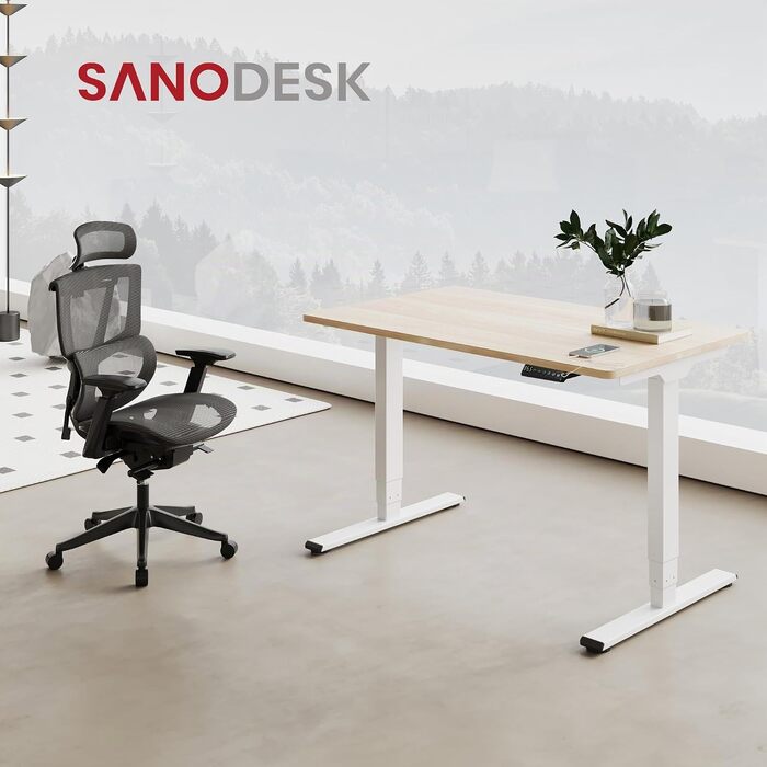 Регульований по висоті письмовий стіл SANODESK 120×80 см, електричний стіл для роботи стоячи та сидячи, два двигуни, USB-порт, пам'ять позицій та захист від зіткнень (Сірий/Чорний)