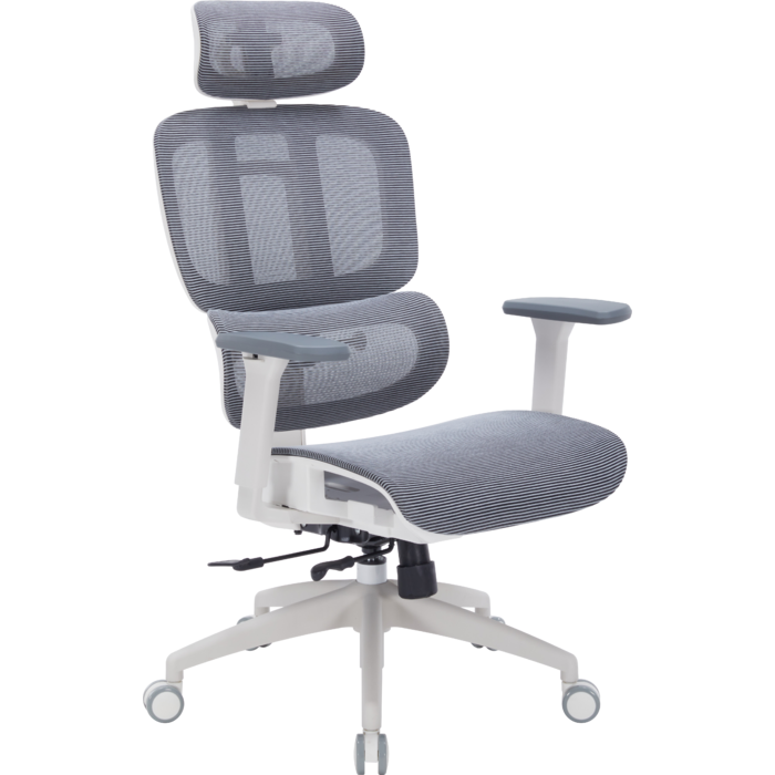 Крісло офісне OfficePro Skyline OC680-W-DG-DG