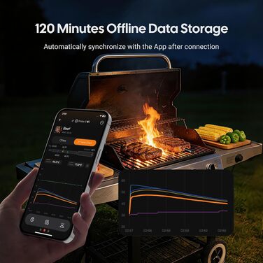Бездротовий термометр для м'яса Inkbird INT-33-BW з WiFi 5G та Bluetooth 5.4, 3 сенсорні щупи, водонепроникний IP67 для гриля, духовки та BBQ