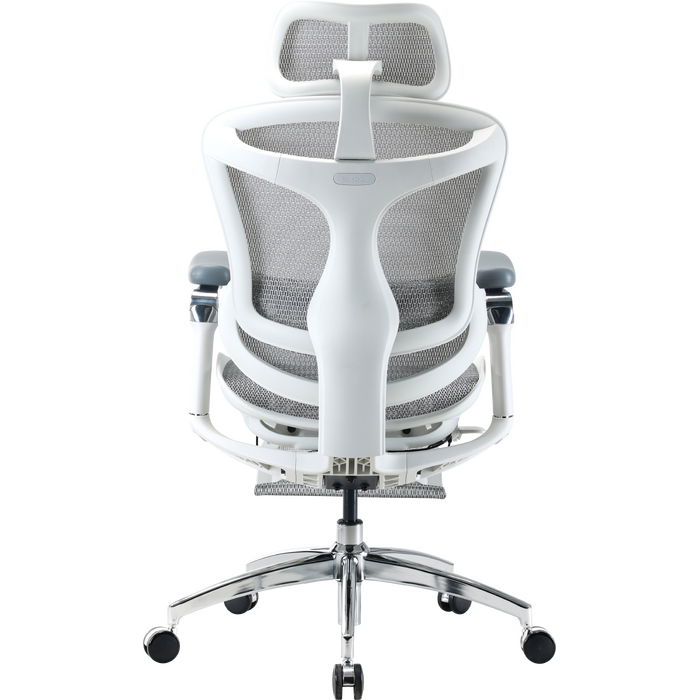 Крісло офісне з підставкою для ніг Sihoo DORO C300 Pro Mesh White with footrest