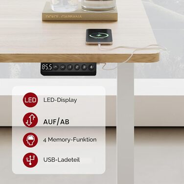 Регульований по висоті письмовий стіл SANODESK 120×80 см, електричний стіл для роботи стоячи та сидячи, два двигуни, USB-порт, пам'ять позицій та захист від зіткнень (Сірий/Чорний)