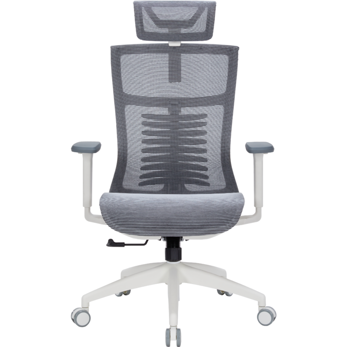 Крісло офісне OfficePro Balance OC620-W-DG-DG