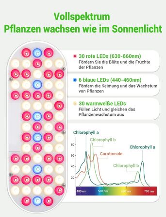Smart Garden: Гідропонна система для вирощування зелені з LED лампою 26W та 12 капсулами. Регульована висота до 50 см.