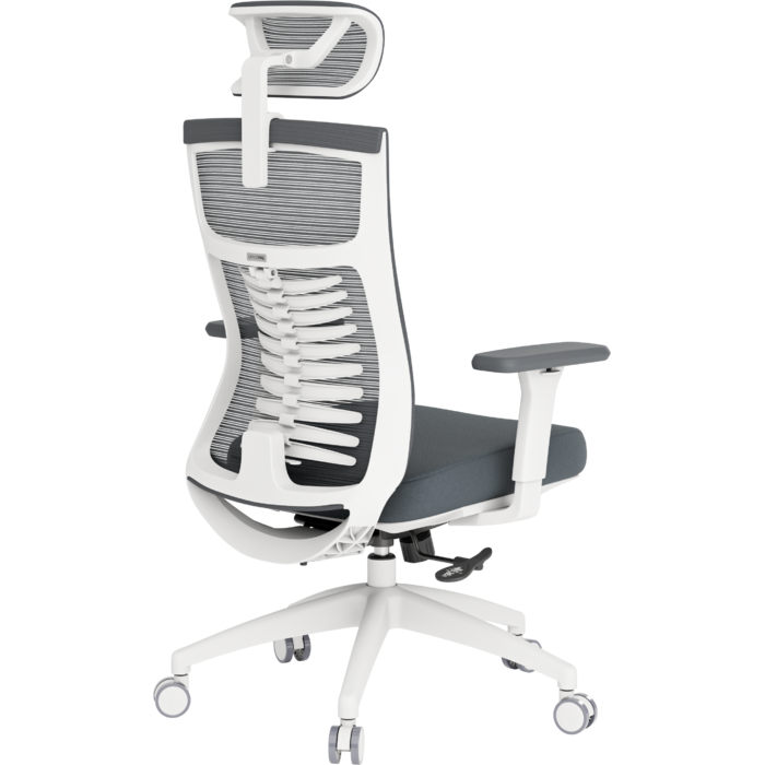 Крісло офісне OfficePro Balance OC550-W-DG-DG