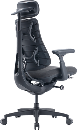 Крісло офісне ергономічне LiberNovo Omni Gen Graphite 48 см