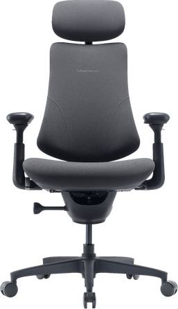 Крісло офісне ергономічне LiberNovo Omni Gen Graphite 48 см