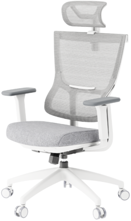 Крісло офісне OfficePro Elegant OC600-W-LG-LG